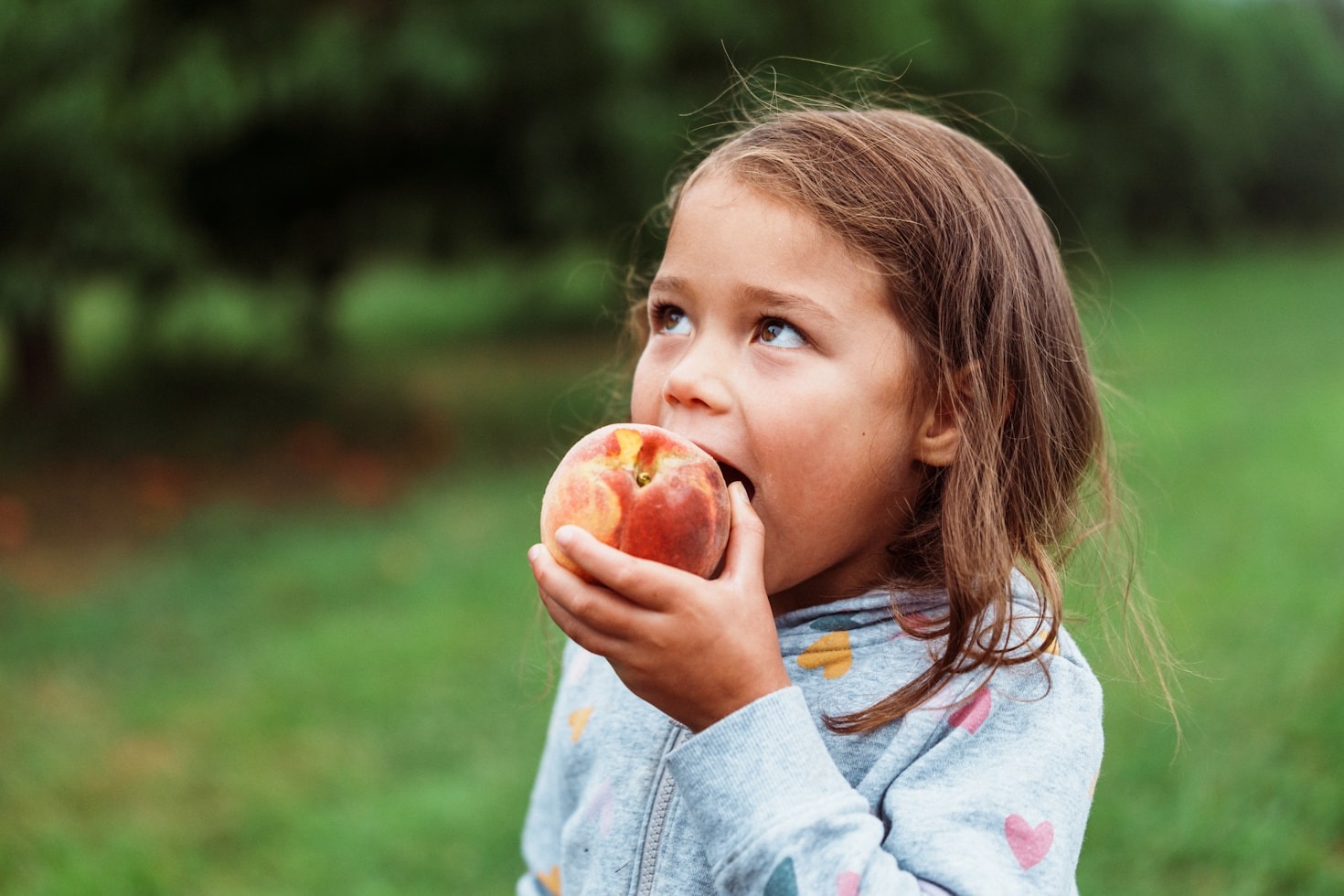 Understanding the Basics of Child Nutrition