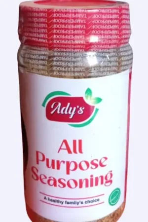 Ady's All Purpose Seasoning Powder (100g)