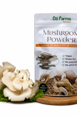 Oyster Mushroom