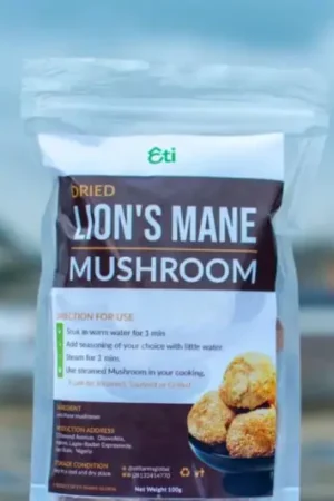 Lion's Mane Mushroom Powder